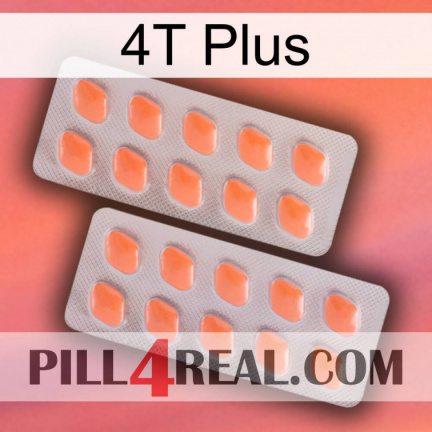4T Plus 27